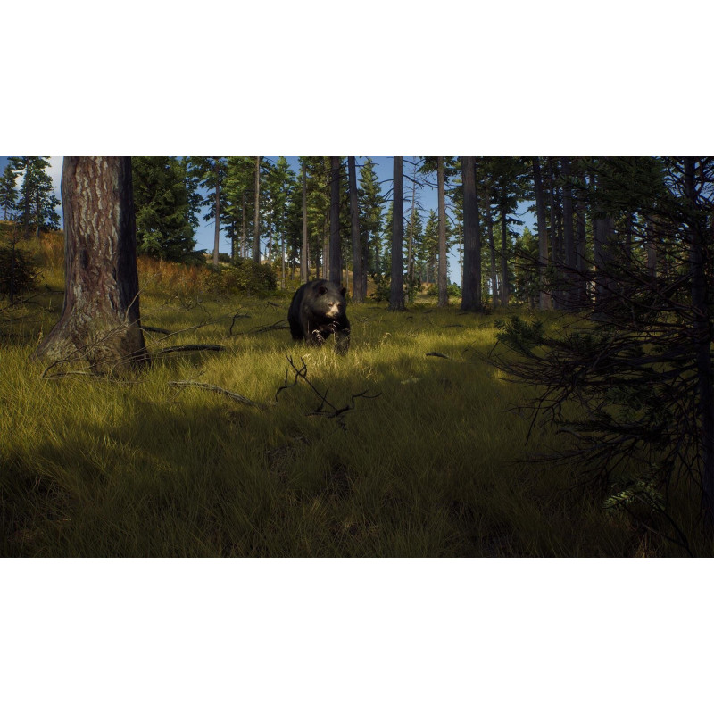 Captura de pantalla del gameplay de Way of the Hunter Wild Expeditions para PlayStation 5