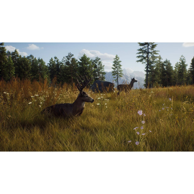Captura de pantalla del gameplay de Way of the Hunter Wild Expeditions para PlayStation 5