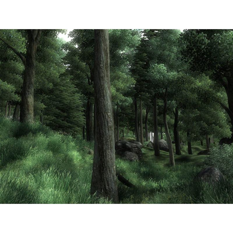 Captura de pantalla del gameplay de The Elder Scrolls IV: Oblivion Remastered para Xbox