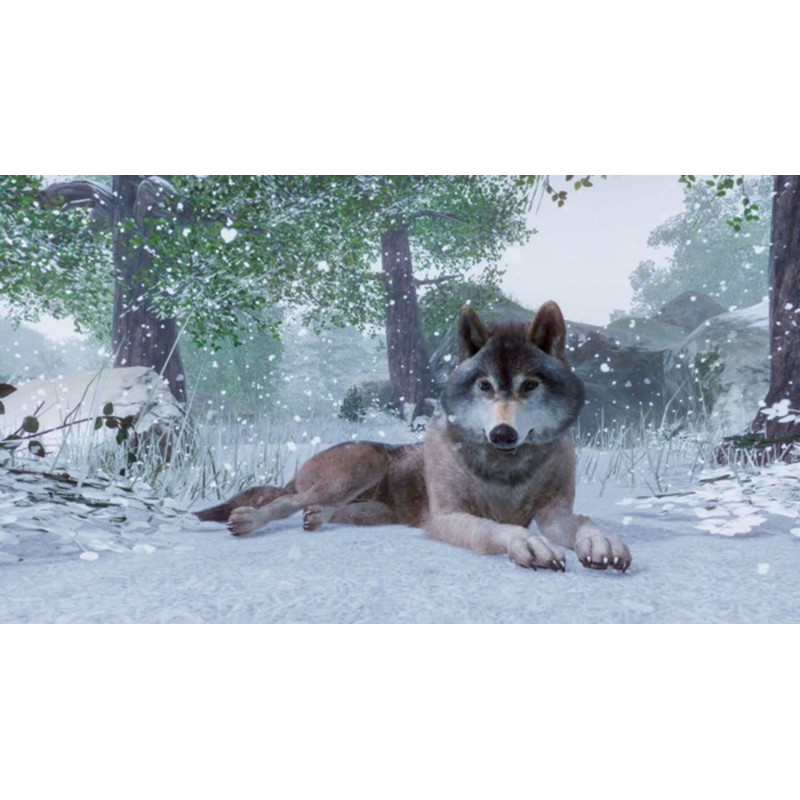 Captura de pantalla del gameplay de Planet Zoo en PlayStation 5 mostrando la construcción de un zoológico.