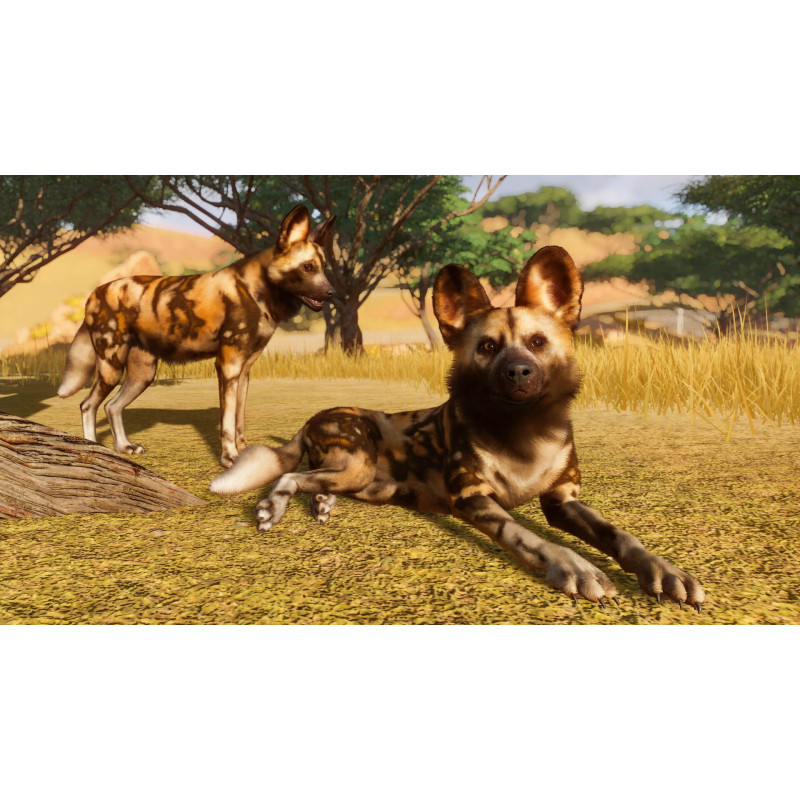 Captura de pantalla del gameplay de Planet Zoo en PlayStation 5 mostrando construcción de zoológico