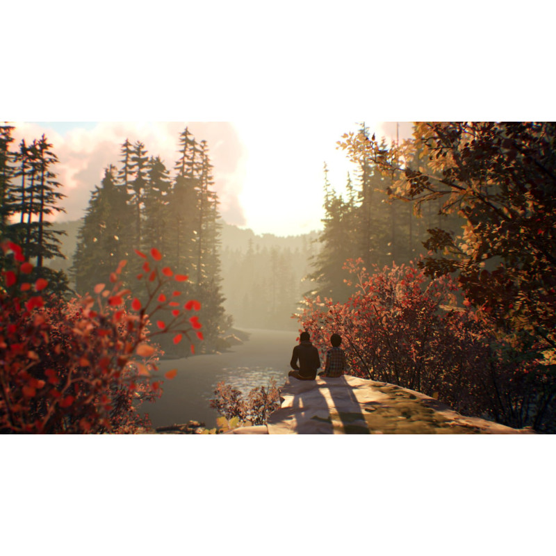 Captura de pantalla del gameplay de Life is Strange 2 para Nintendo Switch mostrando una escena emocionante del juego