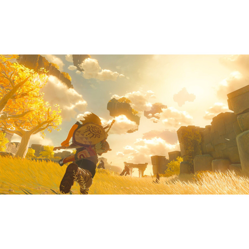 Captura de pantalla del gameplay de The Legend of Zelda: Tears of the Kingdom para Nintendo Switch