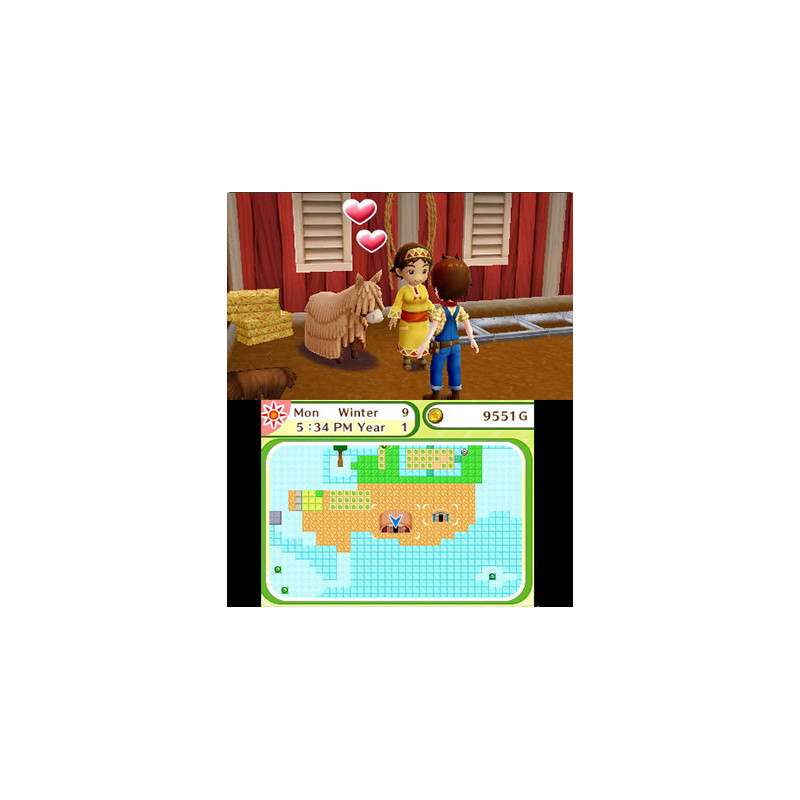 Captura de pantalla del gameplay de Harvest Moon: The Lost Valley & Skytree Village Collectors para Nintendo Switch