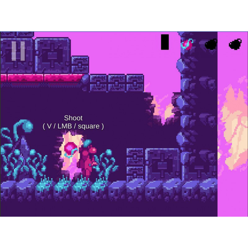 Videojuego para Switch Microids