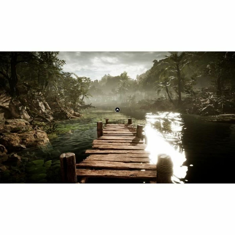 Videojuego PlayStation 5 Microids