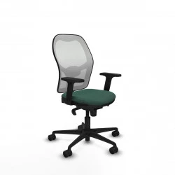 Silla Gaming Piqueras y Crespo 2D036N0 Verde