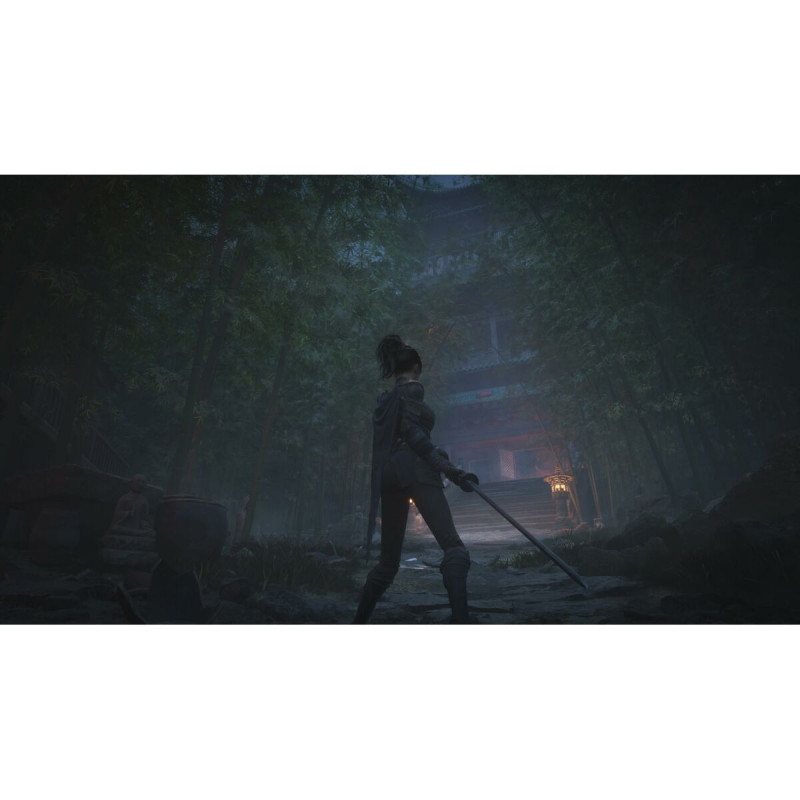 Videojuego Xbox Series X Just For Games Wuchang: Fallen Feathers