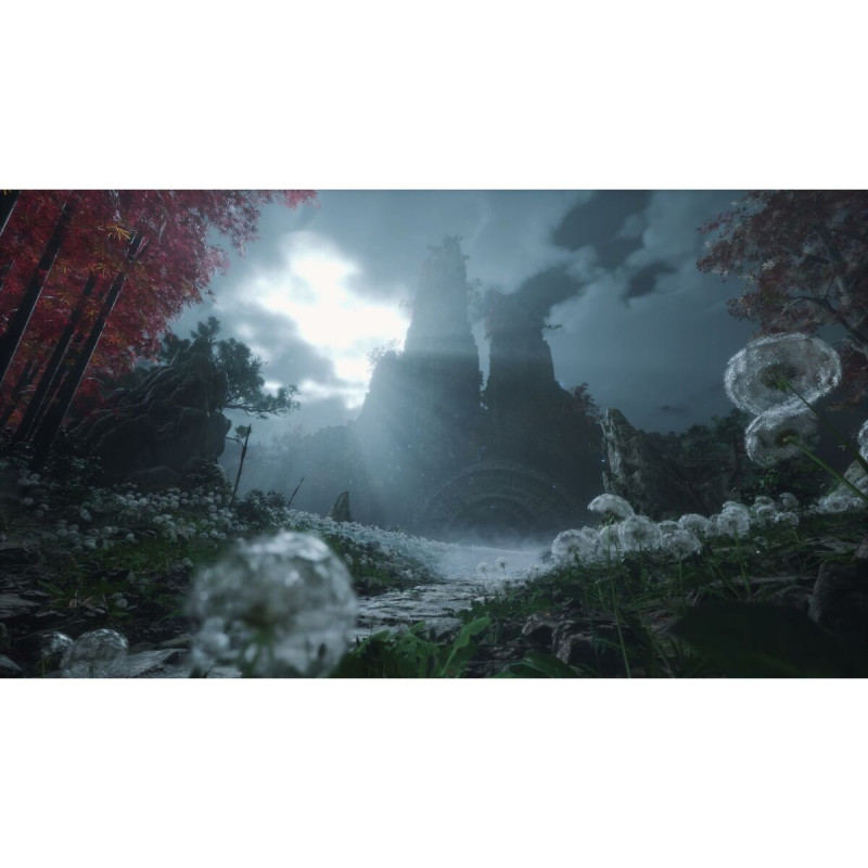 Videojuego Xbox Series X Just For Games Wuchang: Fallen Feathers