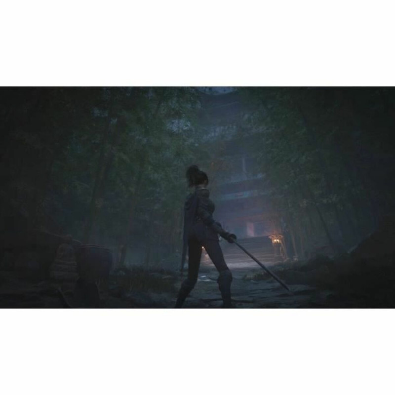 Videojuego Xbox Series X Just For Games Wuchang: Fallen Feathers