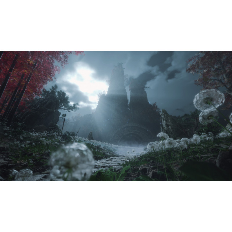 Videojuego Xbox Series X Just For Games Wuchang: Fallen Feathers