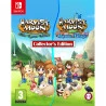 Videojuego para Switch Just For Games Harvest Moon: The Lost Valley & Skytree Village Collector'S