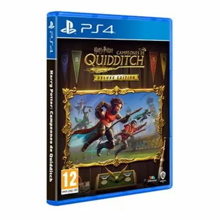 Harry Potter Campeones de Quidditch