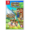 Videojuego para Switch Just For Games Harvest Moon The Lost Valley & Skytree Village