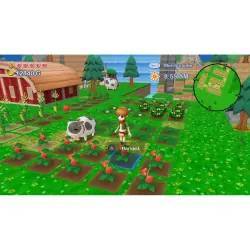  Harvest Moon The Lost Valley & Skytree Village