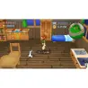  Harvest Moon The Lost Valley & Skytree Village