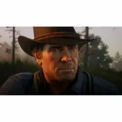  Red Dead Redemption 2
