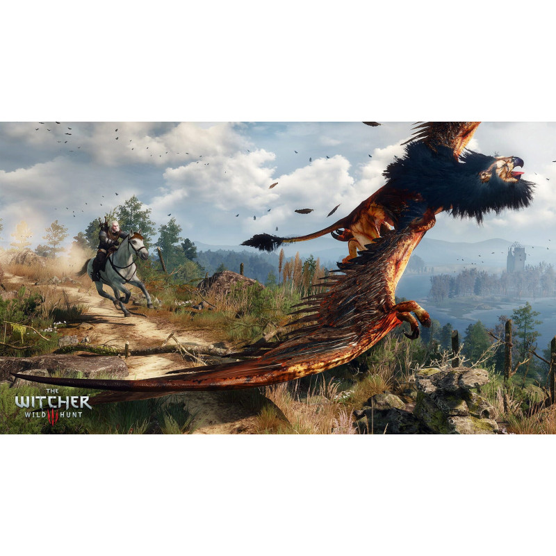 Captura de pantalla del gameplay de The Witcher 3: Wild Hunt en Nintendo Switch